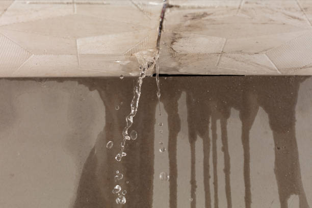 Professional Structural Drying technician working in Hampden, ME